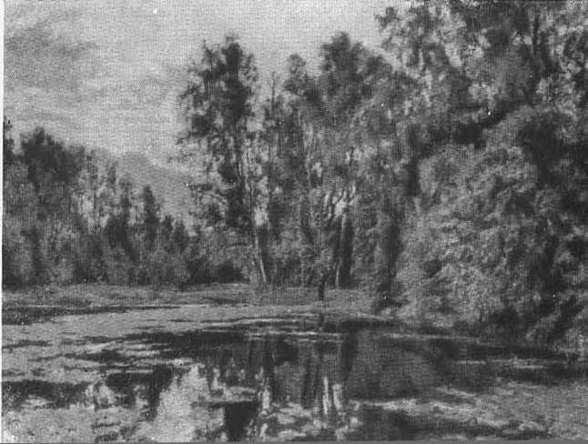 «Заросший пруд». 1888