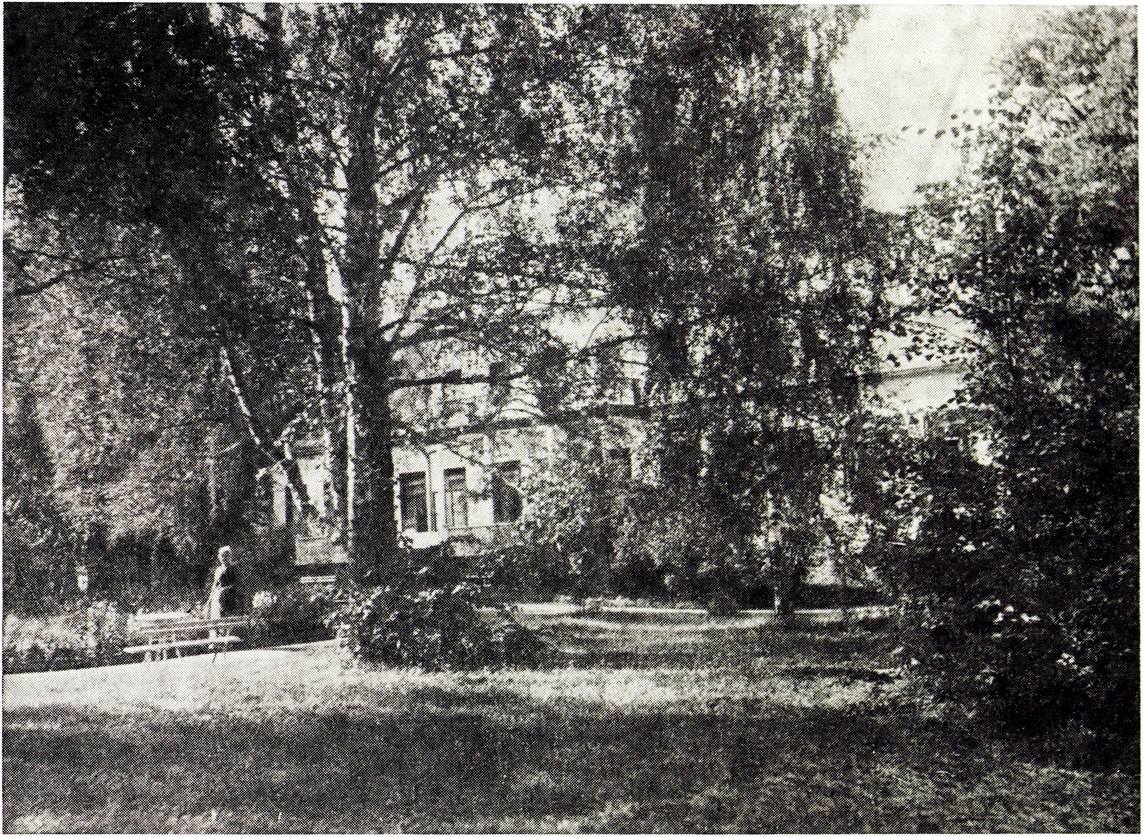 Куракино. Фотография. 1880